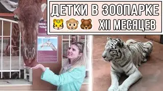 Влог с детьми из зоопарка| Зоопарк 12 месяцев