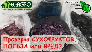 МОЙ МЕТОД. Проверил СУХОФРУКТЫ на консервант. Опасность  реальна?