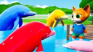 Learning Colors with Color Dolphins 3D Cartoons for Kids, Children, Toddlers | Funny Animals Videos