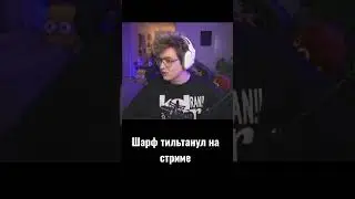шарф в тильте 