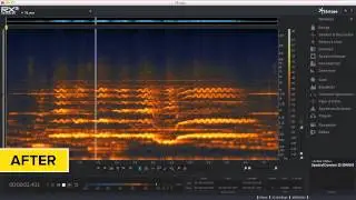 Remove Noise from Audio with iZotope RX® 3