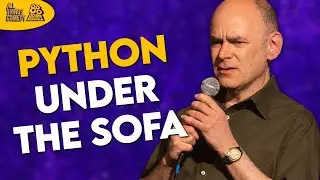 Todd Barry's AirBnb Stays | Domestic Shorthair