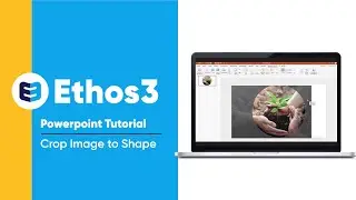 The PowerPoint Crop Image to Shape Tool: How to Use It | Presentation Design tip from Ethos3