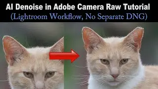 Ai Denoise in Adobe Camera RAW Tutorial (Lightroom/Photoshop Workflow, No Separate DNG File Needed)