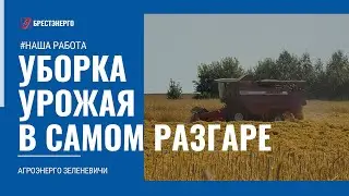 Уборочная кампания - 2024. Агроэнерго Зеленевичи