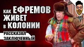 Ефремова в колонии называют дядя Миша, сидит с двумя иностранцами и скидывается на общак