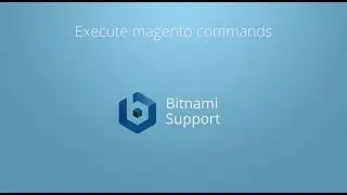 Execute Magento Commands