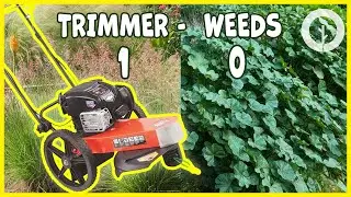 Walk Behind String Trimmer ~ Garden Maintenance