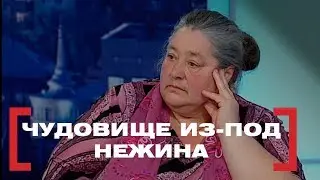 Чудовище из-под Нежина. Касается каждого, эфир от 10.04.2018