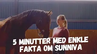 5 minutter med fakta om hesten min