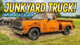 Will It Run and Drive? JUNKYARD Dodge Truck Revived!