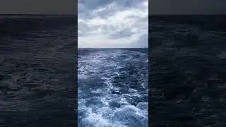 Sit Back and Relax in Amazing Boat Ride!