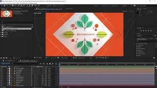 Learn about the different renderers available in After Effects