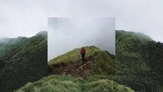 Wangi Gunung Ungaran (Solo Hiking ketemu Kucing di POs)