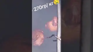 Домашние копчёные утки 🤤👍