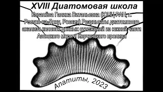 Результаты диатомового анализа колонок донных отложений из южной части Азовского моря и Керченско...