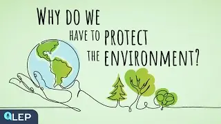 Why Should We Protect The Environment? | 🎙️ 8 Minute English | Beginner