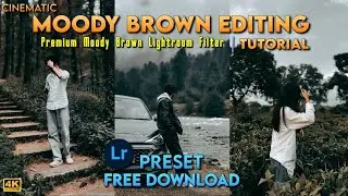 Cinematic Moody Brown Lightroom preset Free download | Lightroom Mobile Tutorial | Lightroom DNG