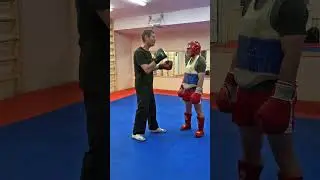 Спорт - есть спорт... #shorts #shortvideo #sports #martialarts