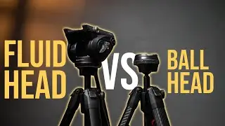 Ball Heads VS Fluid Heads: 7 Things you need to know