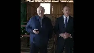 🔥🔥🔥Лукашенко рассказал, как надо строить коровники: 