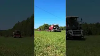 #уборкаурожая