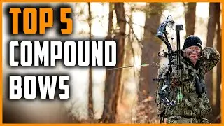 Best Compound Bows 2023 | Top 5 Compound Bows for Beginners