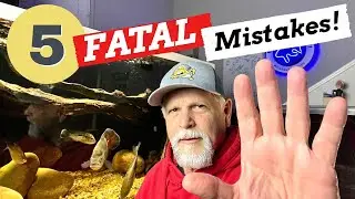 Don't Make these 5 *COMMON FATAL FISH KEEPING* Mistakes!