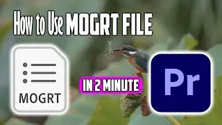 How to Use Mogrt Files in Premiere Pro - Mogrt File Premiere Pro