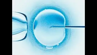 Some companies are trying to eliminate human errors in IVF labs