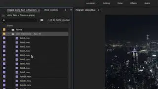TUTORIAL -  Adding Rain effects in Adobe Premiere