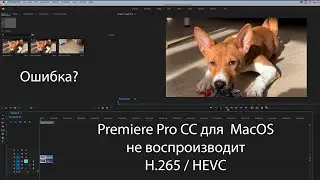 Premiere Pro CC для MacOS не проигрывает H.265/HEVC | Premiere Pro CC MacOS error H.265