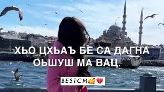 ВА МА ДАГАРА АЗ ДУ ИЗ😻🔥Ас Хьо Маьл Дукха Вехарх Кхолламо Лур Вац Хьо Суна