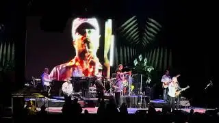 Little Duece Coupe - The Beach Boys Live at The Chateau Ste Michelle Winery in Woodinville 8/23/2024