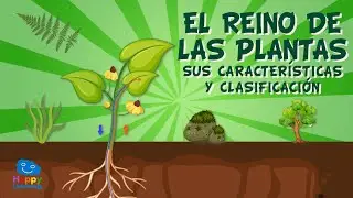 El reino de las plantas. Sus características y clasificación | Vídeos Educativos para Niños