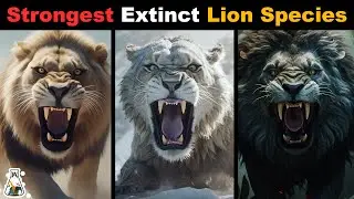 6 Most Powerful Extinct Lion Species