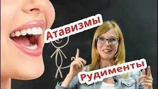 Биология | Рудименты и Атавизмы. Подготовка к ЕГЭ.