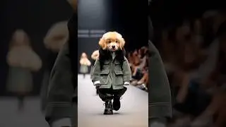 Dog Walking On Fashion Show Ai Video Editing | Ai Video Kaise Banaye | Ai Editing