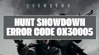 How To Resolve Hunt Showdown Error Code 0x30005?