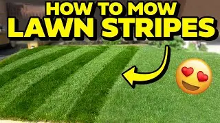 2024 BEST LAWN STRIPES Tutorial