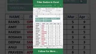 Filter Button in Excel | Insert Slicer in Excel | Excel tips and trick | #excel | #excelfilter