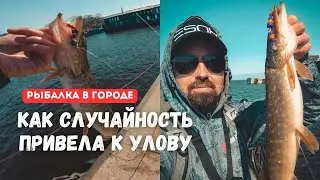 Стритфишинг. Спиннинг на набережной в центре города. Рыбалка в Архангельске.