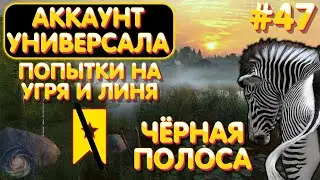 Аккаунт универсала #47 | Попытки на Угря и Линя | НЕДОТРОФ | Чёрная полоса | Русская Рыбалка 4