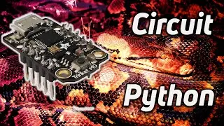 Adafruit Trinket M0  and CircuitPython