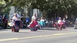 Rose White & Blue Parade