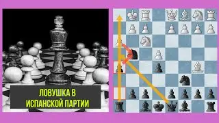 Ловушка в испанской партии за черных. Шахматы