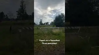#сталкер