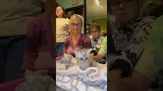 Бабушка с внуками взяли котенка из приюта..😻👵🏻🏠