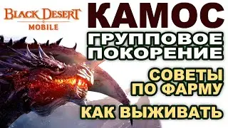 📱BDM: КАМОС. Тактика фарма. Советы как выживать в Black Desert Mobile (БДМ)