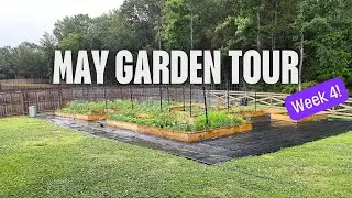 So Much Growth!| May Garden Tour| Summer Garden 2024